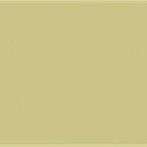 Paint and Paper Library Wattle III Paint